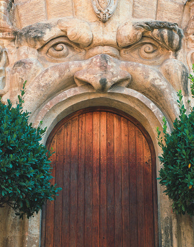 Monster Door