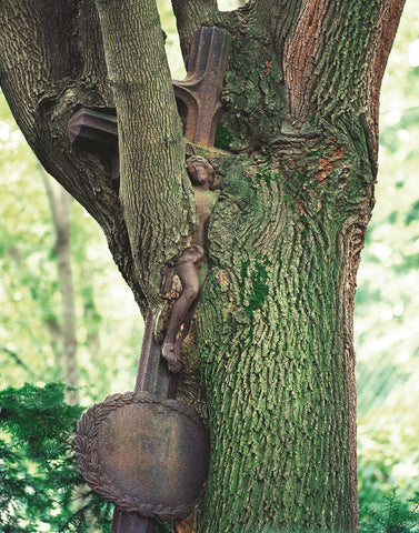 Christ in the Tree