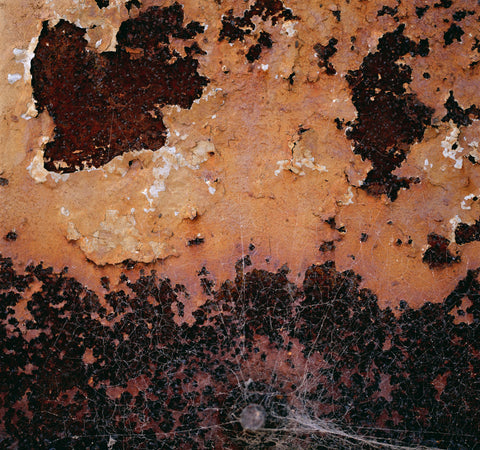 Cobweb