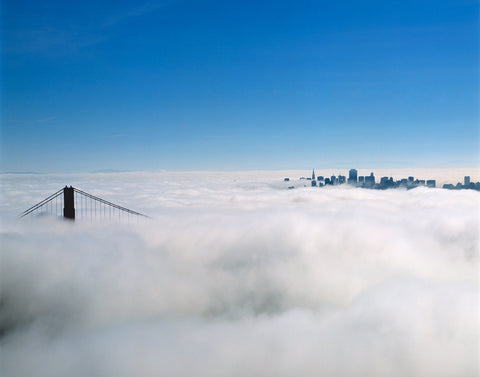 The City